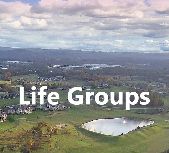 life groups background image rarity bay
