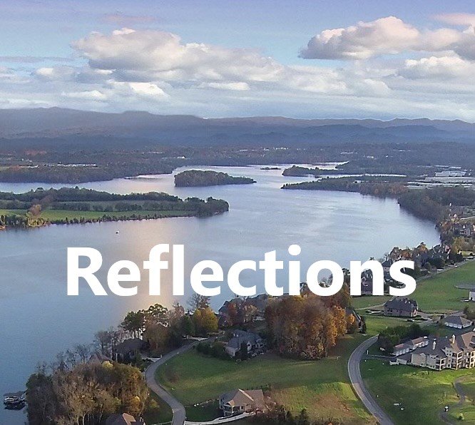 reflections background image rarity bay